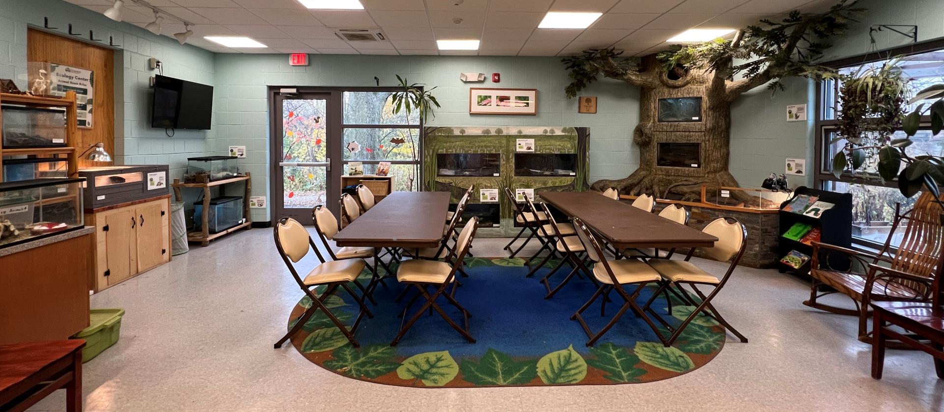 Ecology Classroom party tables