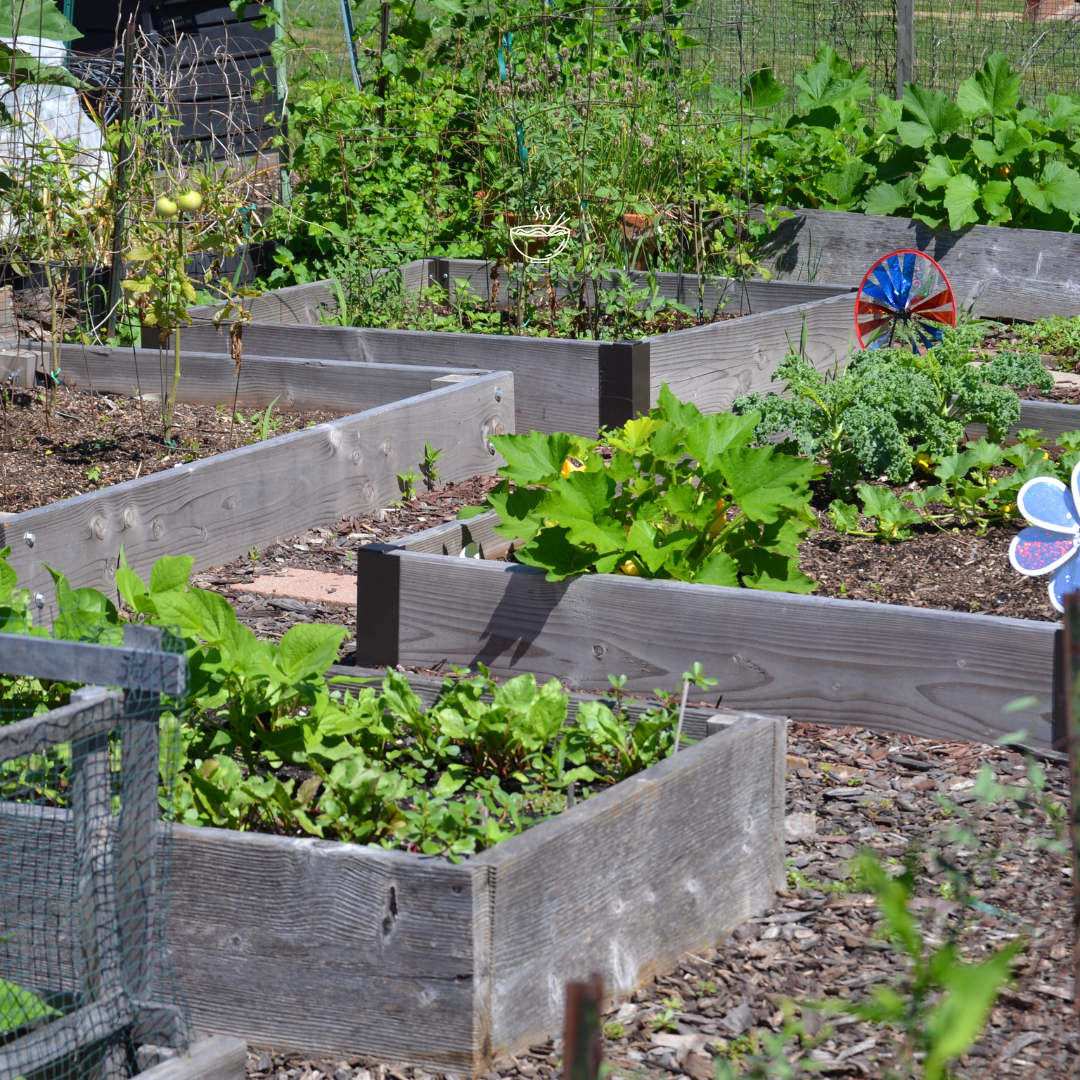 Community Garden