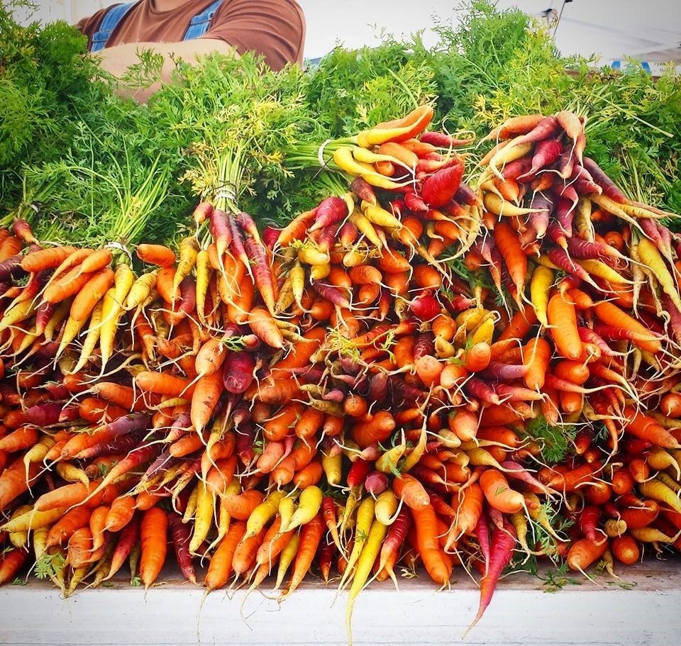 decorative: picture of carrots at the farmers's market