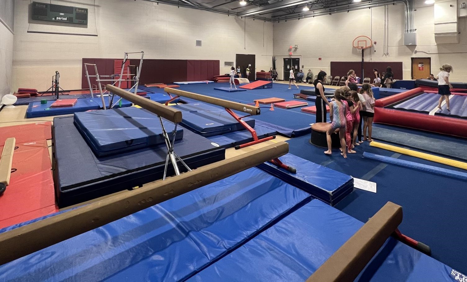 gymnastics 2024 modified