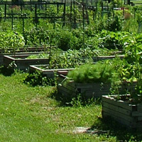 Photo of Community Garden