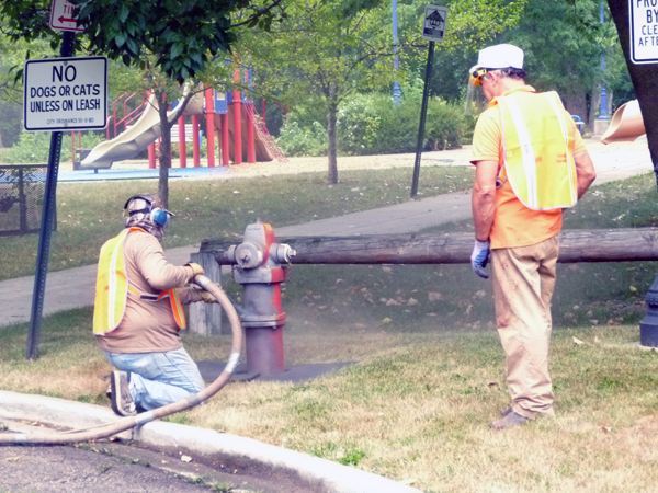 Fire hydrant painting